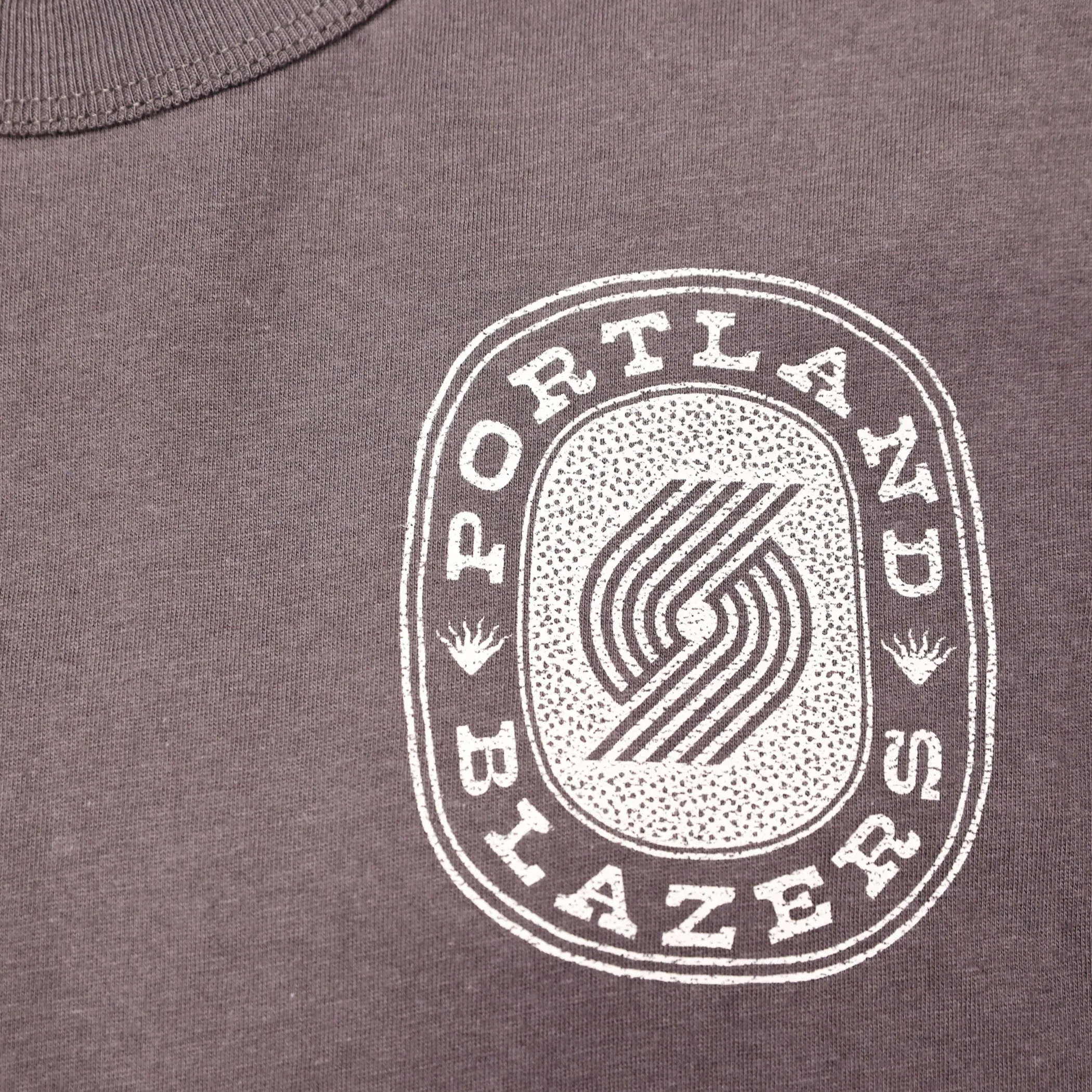 Trail Blazers Back Canyon '47 Brand Gray Tee
